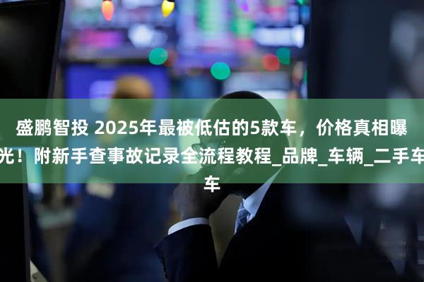 盛鹏智投 2025年最被低估的5款车，价格真相曝光！附新手查事故记录全流程教程_品牌_车辆_二手车